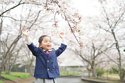 入園(桜)